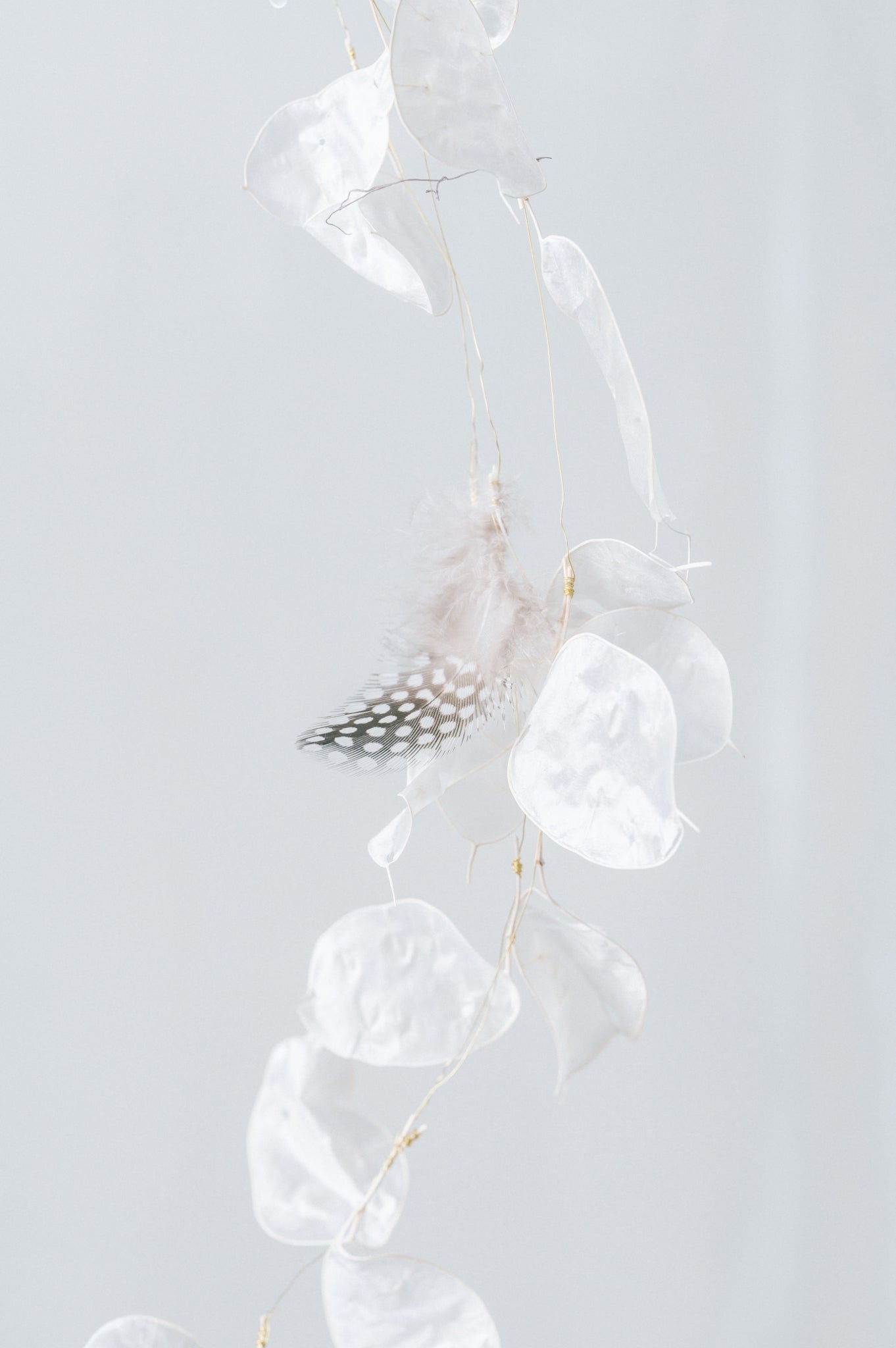 【NJT6-1】吊り型とり籠1灯タイプ(送料無料)